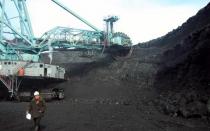 Полезные ископаемые: Каменный уголь