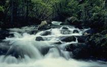 How do lowland rivers differ from mountain rivers?
