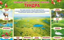 Природни зони на Русия