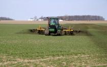Technology for growing winter wheat