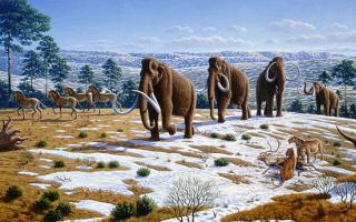 What was the last ice age on earth?