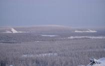 Какъв е климатът в горската зона на Русия?