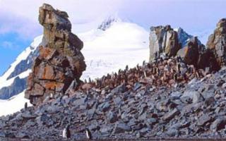 Какви минерали се добиват в Антарктида